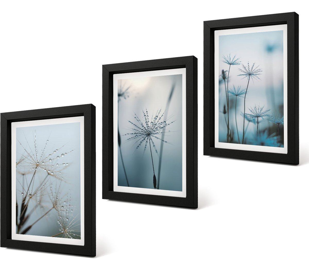 Coloray 4-Delige Schilderij Set - Fijne paardenbloemen met waterdruppels - 20 x 30 cm - Muurdecoratie - Wanddecoratie - Hal - Interieur Decoratie