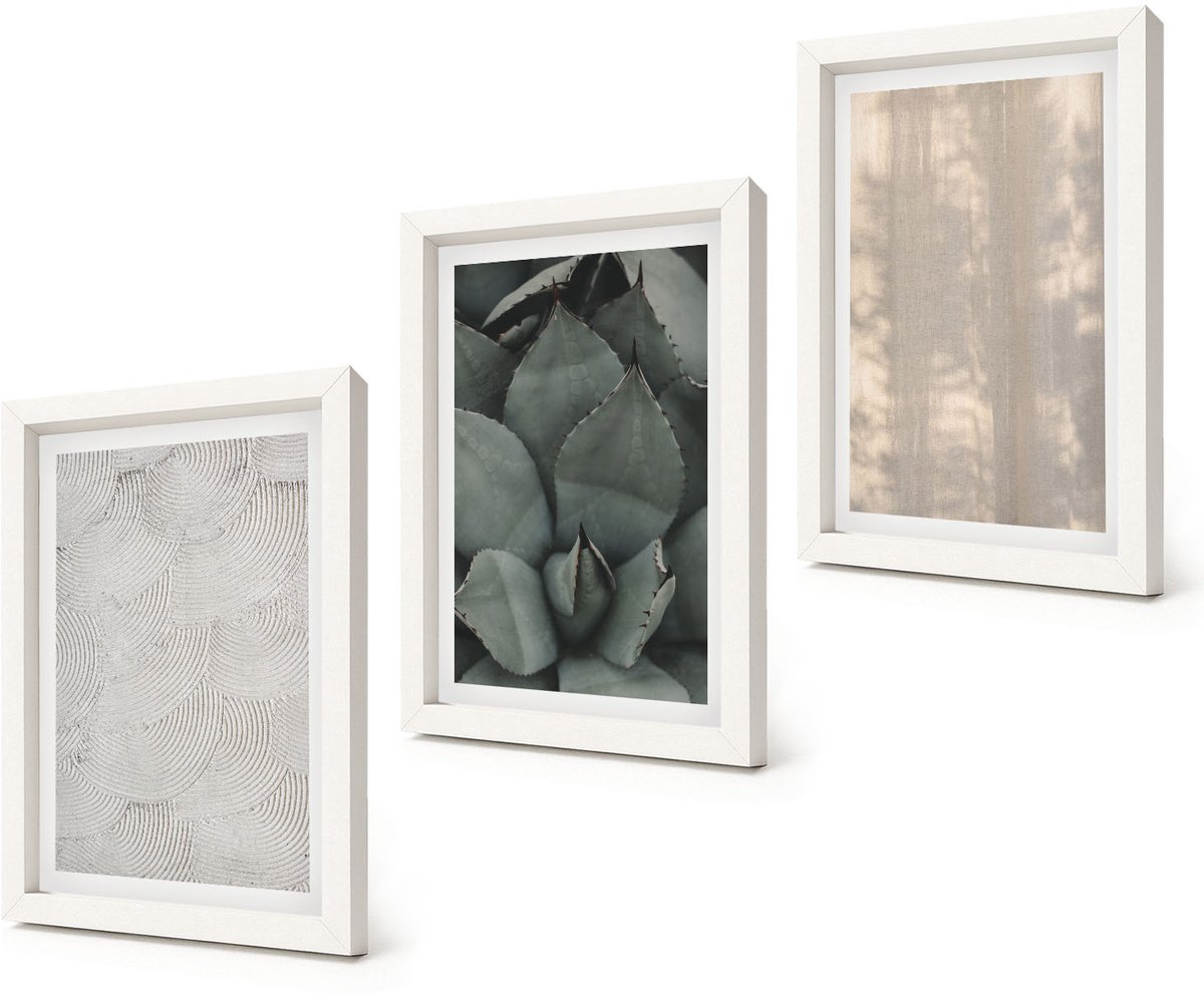 Coloray 3-Delige Schilderij Set - Zomerse texturen van dichtbij in een tropisch klimaat - 20x30 - Wanddecoratie - Woonkamer Decoratie