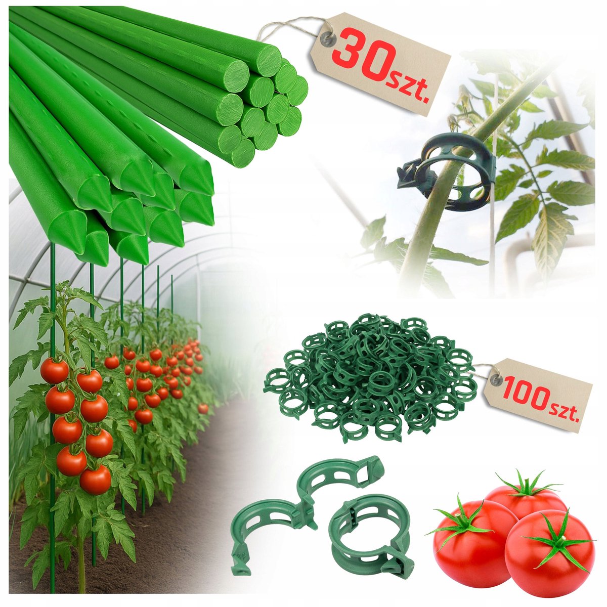 30x Groene Plantensteunen 120cm + 100x Plantclips voor Tomaten & Komkommers