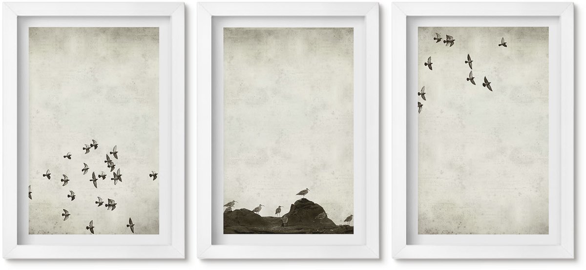 Wallfluent 3-Delige Schilderij Set - Vogels In Vlucht, Geschilderd In Minimalistische Stijl. - 20 x 30 - Decoratieve Schilderijen - Wanddecoratie - Hal - Woonkamer Decoratie