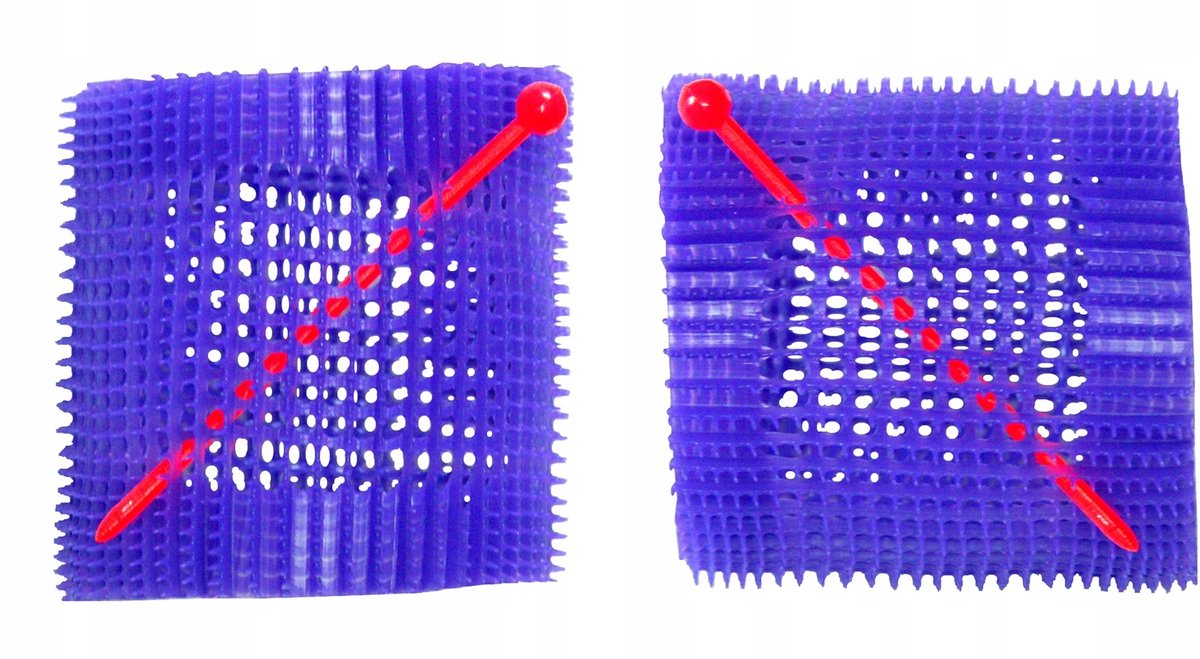 Zachte Haarrollers met Pin - 64mm Diameter - 3 Stuks
