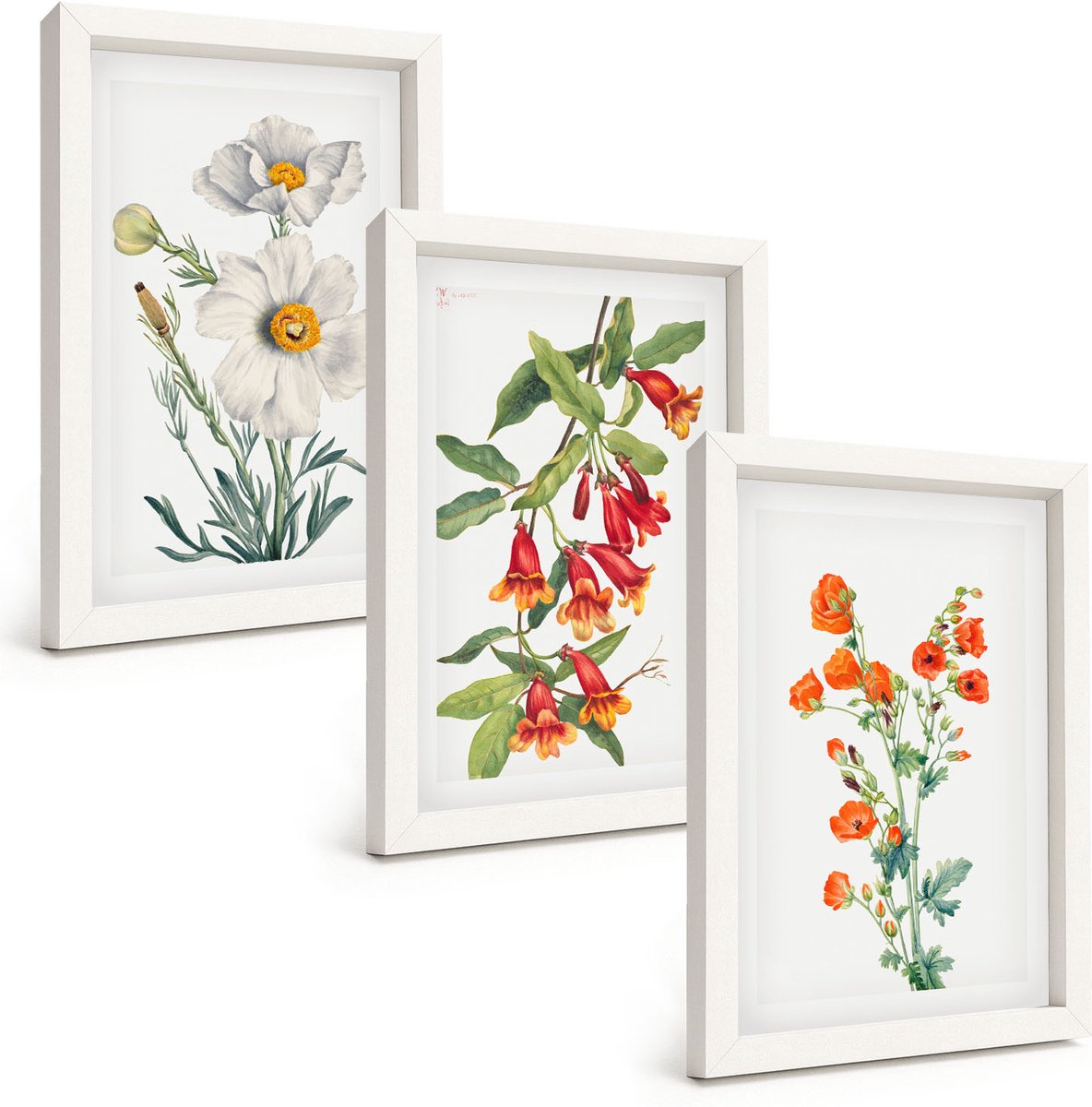 Tulup 3-Delige Schilderij Set - Bloemcomposities Retro Vintage Schilderij - 20x30 - Wanddecoratie - Schilderijen Set - Interieur - Decoratieve Schilderijen