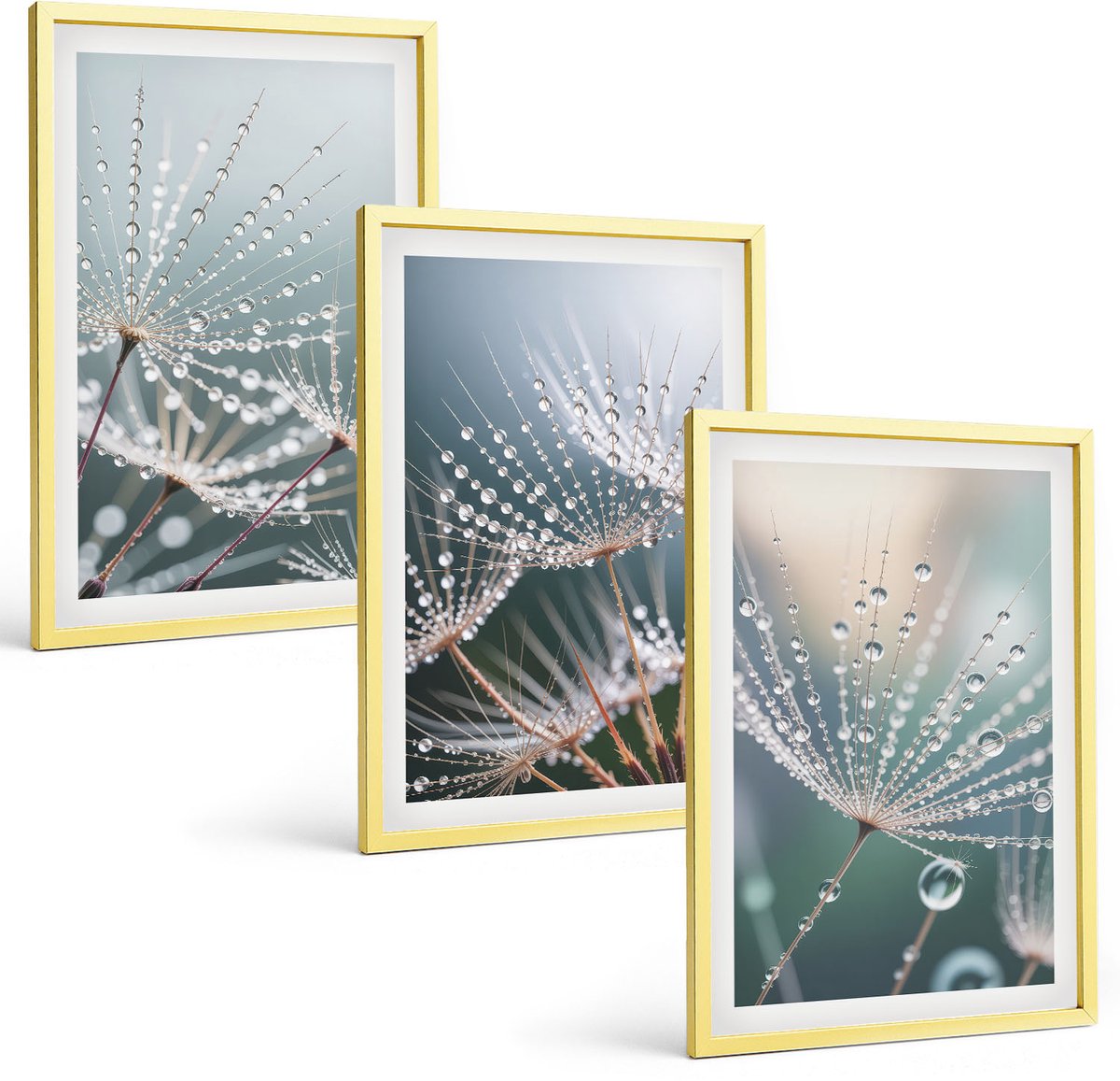 TULUP 4-Delige Schilderij Set - Waterdruppels op de tere scheuten van paardenbloemen - 40 x 60 cm - Muurdecoratie - Schilderijen Set - Woonkamer - Moderne Wanddecoratie Gouden lijst