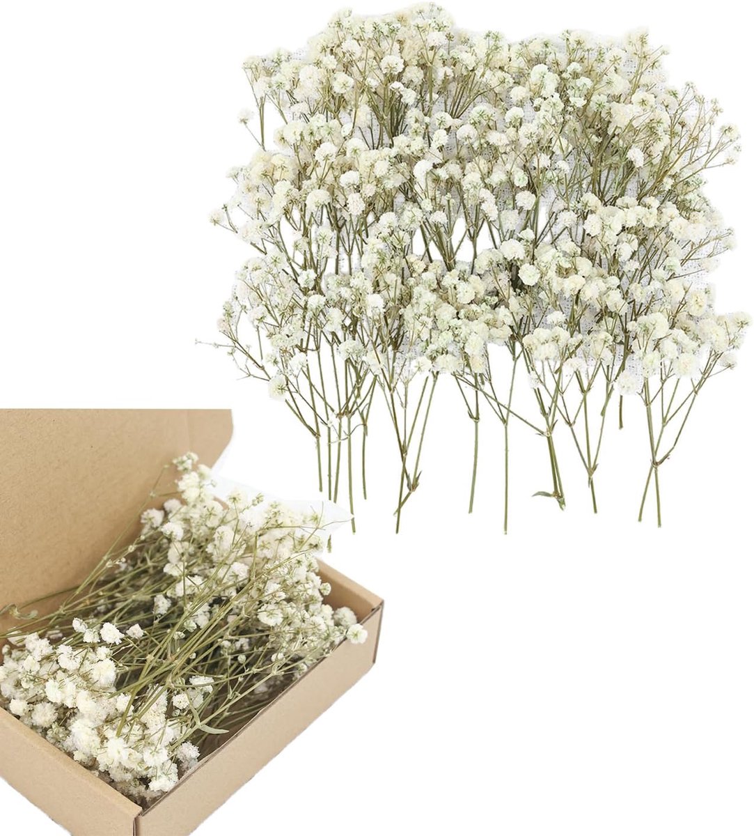 100 stuks gedroogde Gypsophila bloemen, gedroogde bloemen voor ambachten mini adem droog - ShopVlot