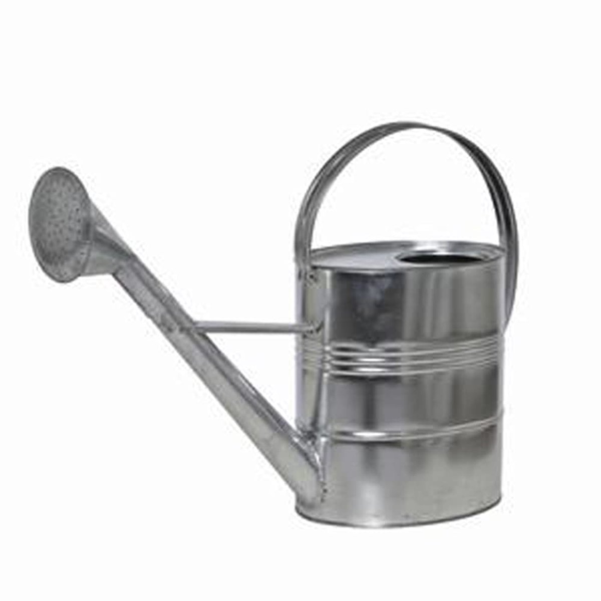 Siena Garden Gieter, 10 l, bloemschenker, verzinkt, 395240 - ShopVlot