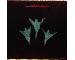 Ghosts of American Psychonauts