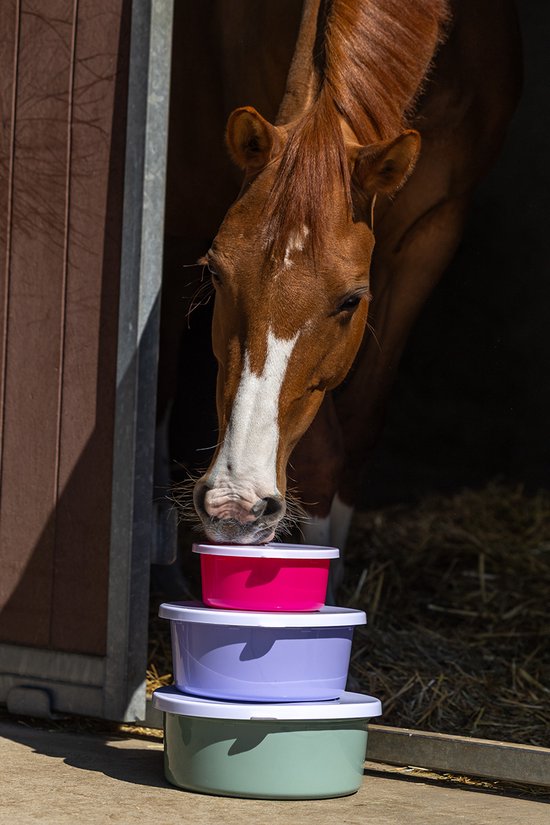 Paard kijkt naar een stapel van drie kleurrijke voerbakken met deksels.