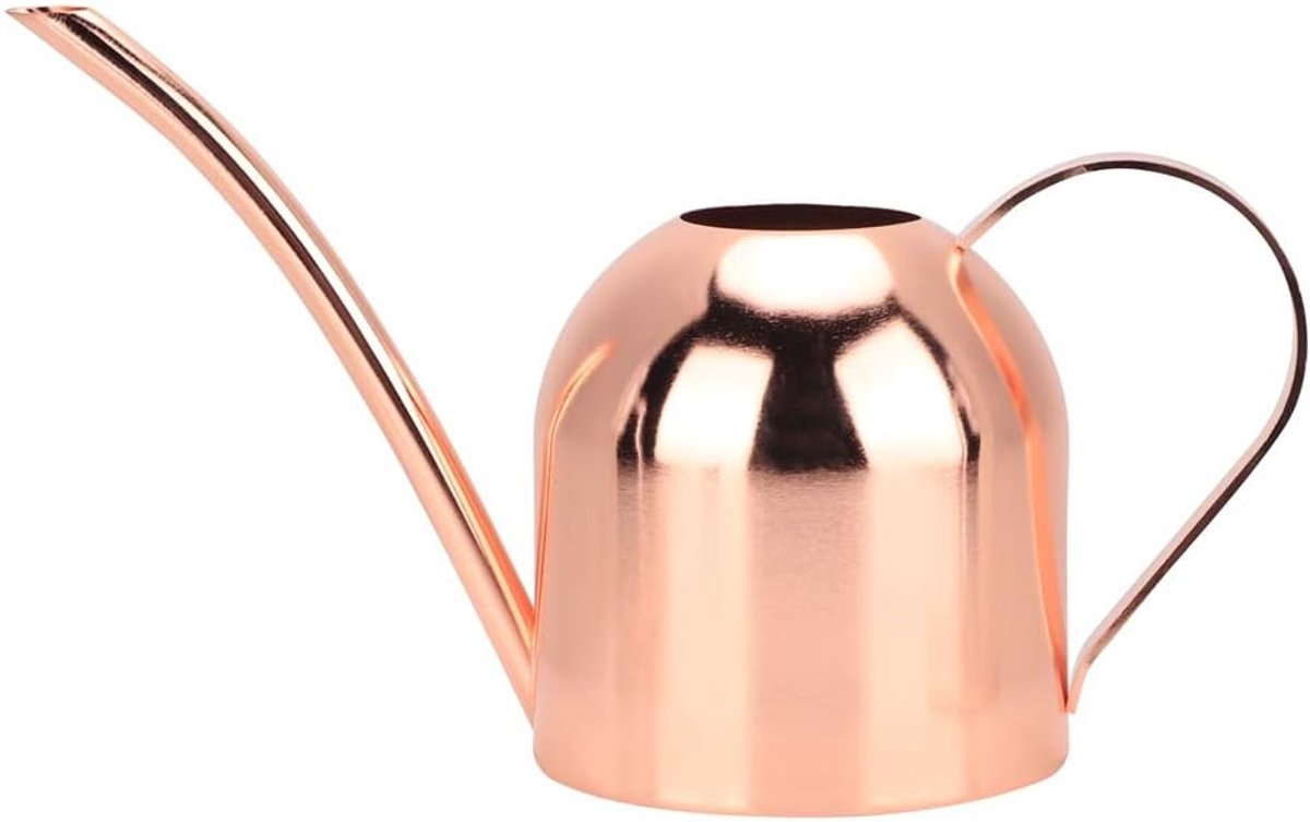 Kleine Gieter - Binnengieter Roestvrijstaal - Planten Water Geven - Lange Tuit - 500 ml - Roségoud