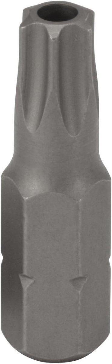 Bit Torx - Schroef Bit - Bevestigen Schroeven - Gelegeerd Staal - 30 mm - Zilverkleurig