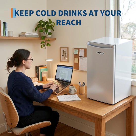 HOERFURIY Mini Koelkast 45L - Drankkoelkast met RVS Deur - Stille Minibar 41dB - Energieklasse E - 5 Standen Thermometer 0°C-18°C - Links/rechts Draairichting - Verstelbare Voet - Compact & Vrijstaand van HOERFURIY — afbeelding 5