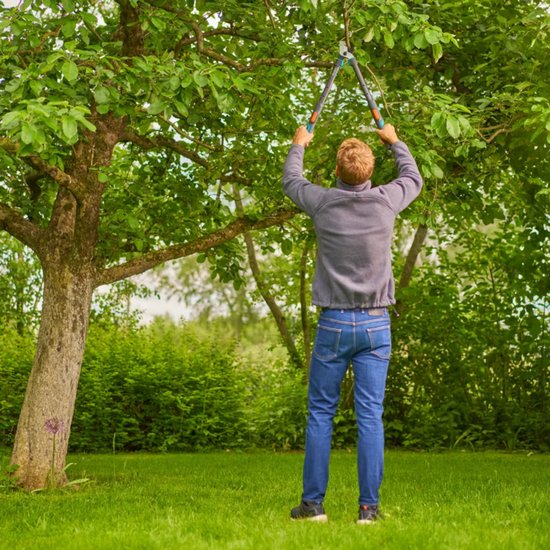 Man met GARDENA Takkenschaar TeleCut Pro S in een boom, staand op gras.