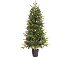 Black Box Trees Grimshaw Kunstkerstboom met LED-Verlichting op Batterijen en Timerfunctie- H120 x Ø60 cm - Groen