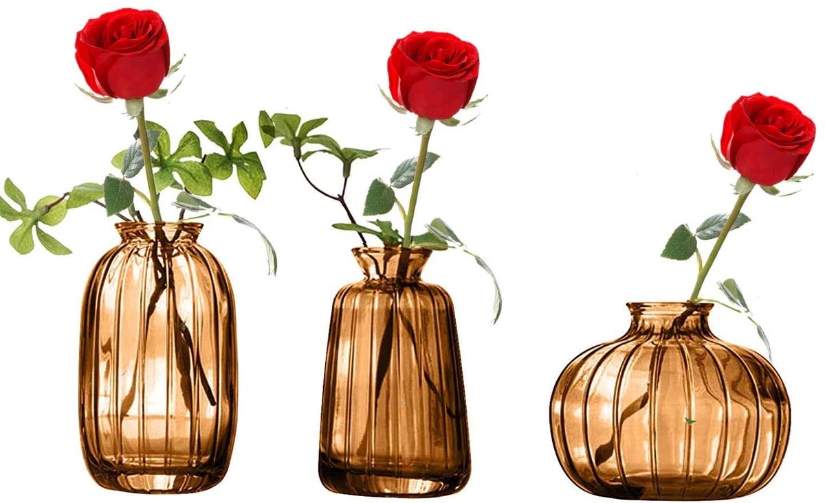 Omgoods - Mini Decoratieve Glazen Vasen, Set van 3 voor Tafeldecoratie