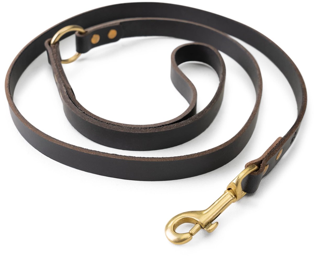 Omgoods - Premium Lederen Hondenriem van 1,5 m
