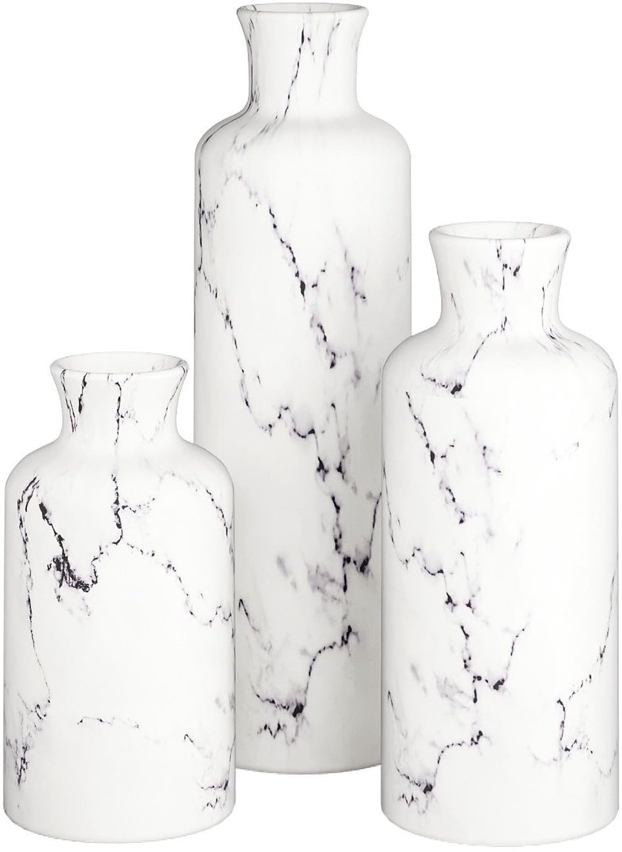 Omgoods - Witte Vaas Set voor Decoratie, Perfect voor Pampasgras en Bloemen