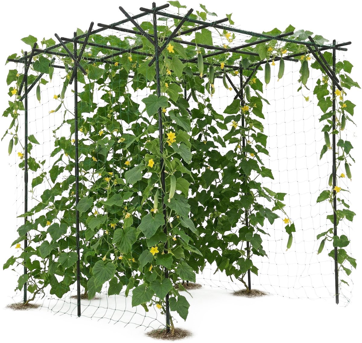 Metalen Tuinboog Latwerk - Roestbestendig Klimrek Voor Klimplanten - Modulair Montage Systeem Voor Tuin En Feestdecoratie - Platte bovenkant - Zwart