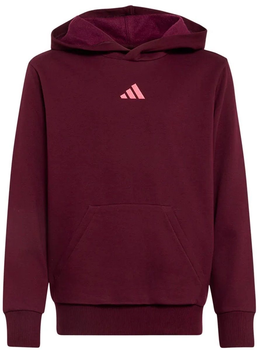 Adidas Essentials Hoodie 15-16 Years Kinderen Carbon / Pure Turbo