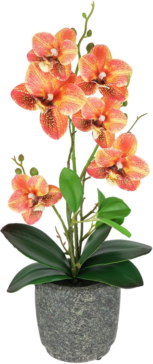 Omgoods - Kunstbloem Phalaenopsis Orchidee met Aerial Roots in Keramiek