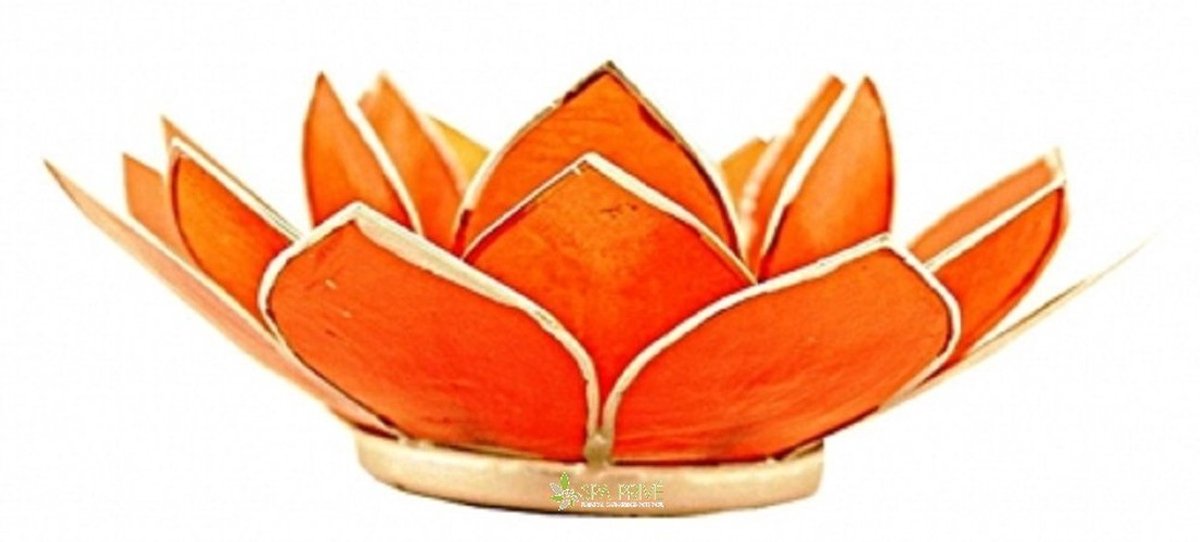 Omgoods - Theelichthouder Lotus Bloem van Capiz Schelpen