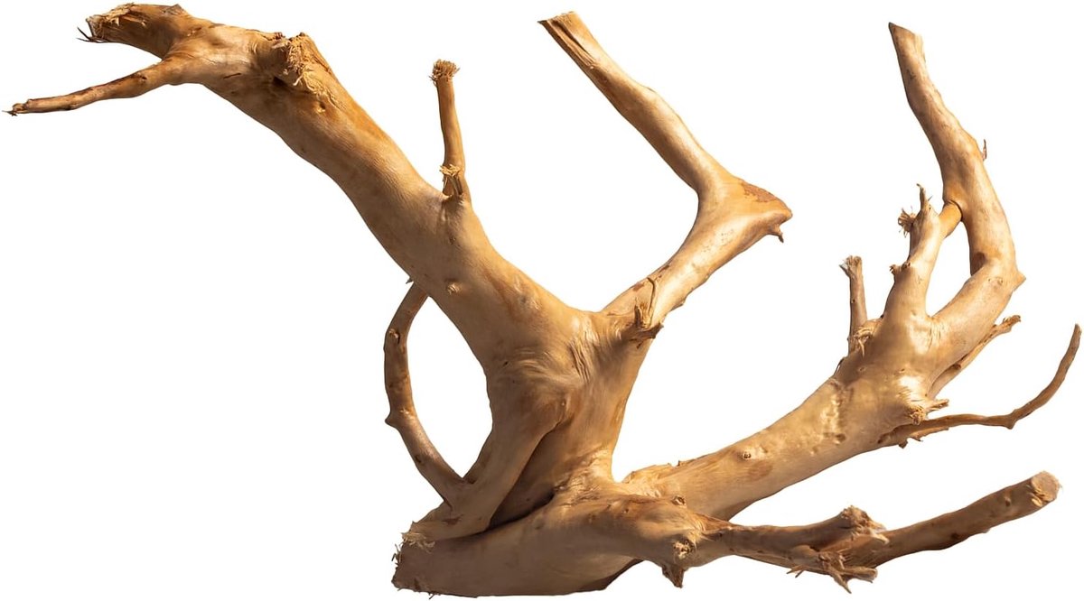 Hout voor aquarium, natuurlijk drijfhout voor aquariumdecoratie, aquascapehout voor zoetwateraquarium en reptielenhabitat (20-30 cm)