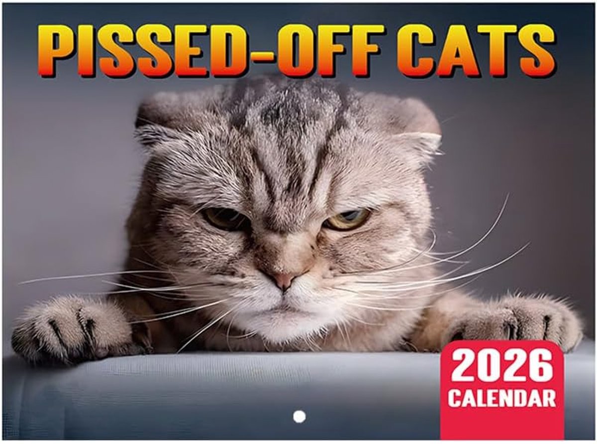 SnelShoppen - Katten Kalender 2026, Wandkalender PISSED-OFF CATS, Desk Kalender voor Thuis, Kantoor, Hotels, 28.5 x 21 cm, Perfect voor Kattenliefhebb