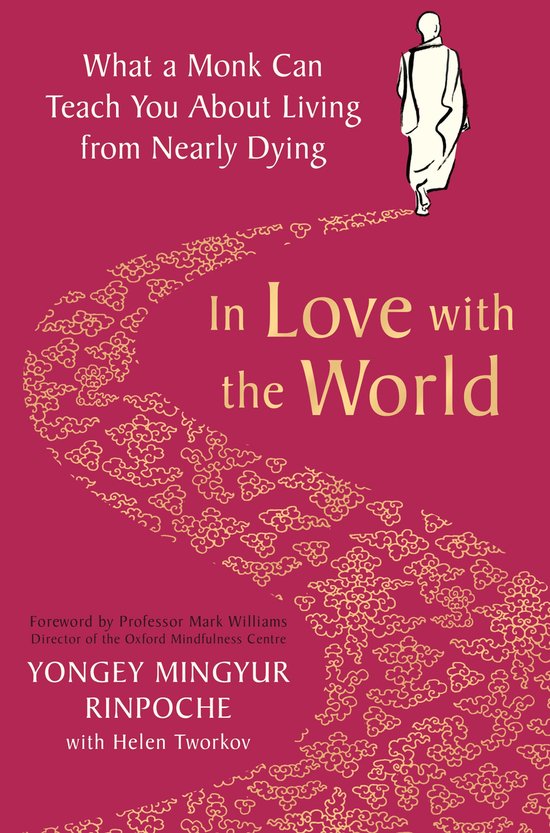 Livre "In Love with the World" avec un dessin de moine sur fond rouge-doré.
