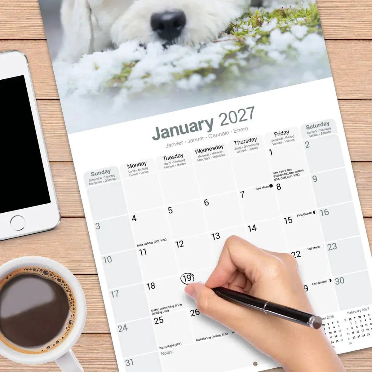 Bichon Frise Kalender 2027
