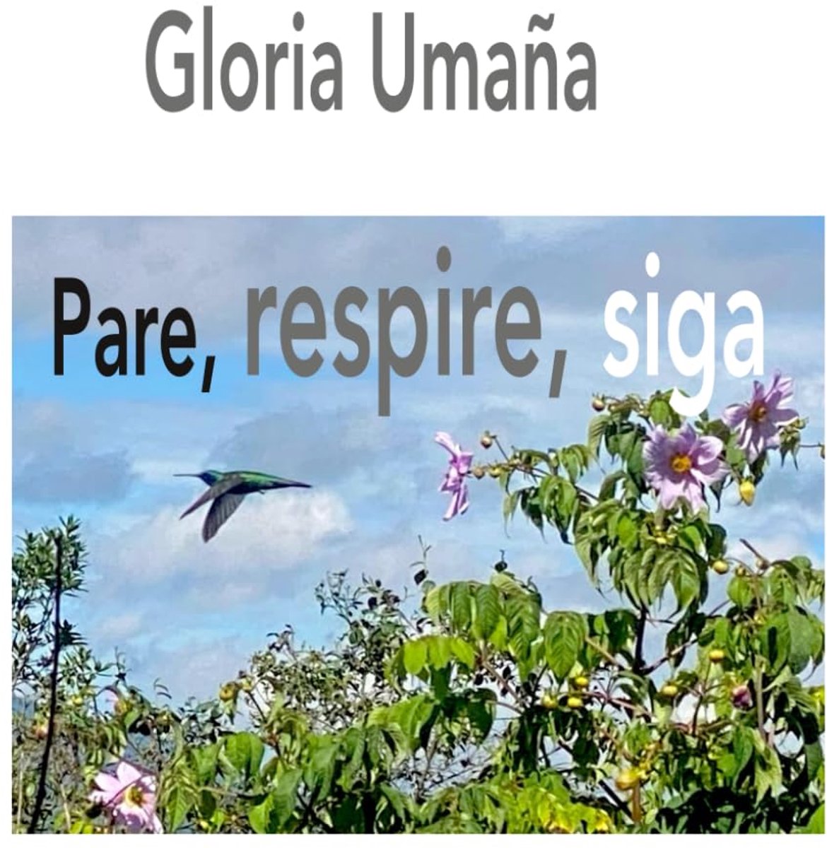 respire, siga