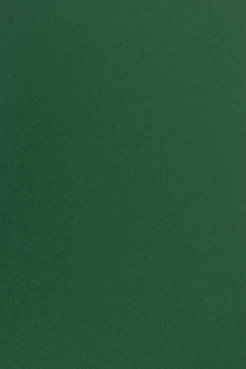 Tonpapier A4 170 g/m² - Donkergroen - Creatief drukwerk - Ideaal voor knutselprojecten - SnelShoppen