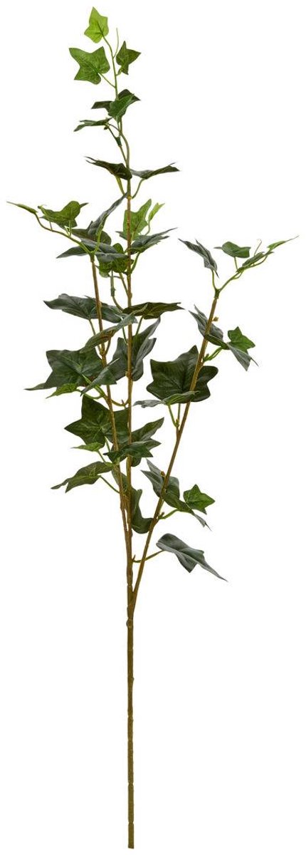 Tige de lierre Nelia H.80cm vert