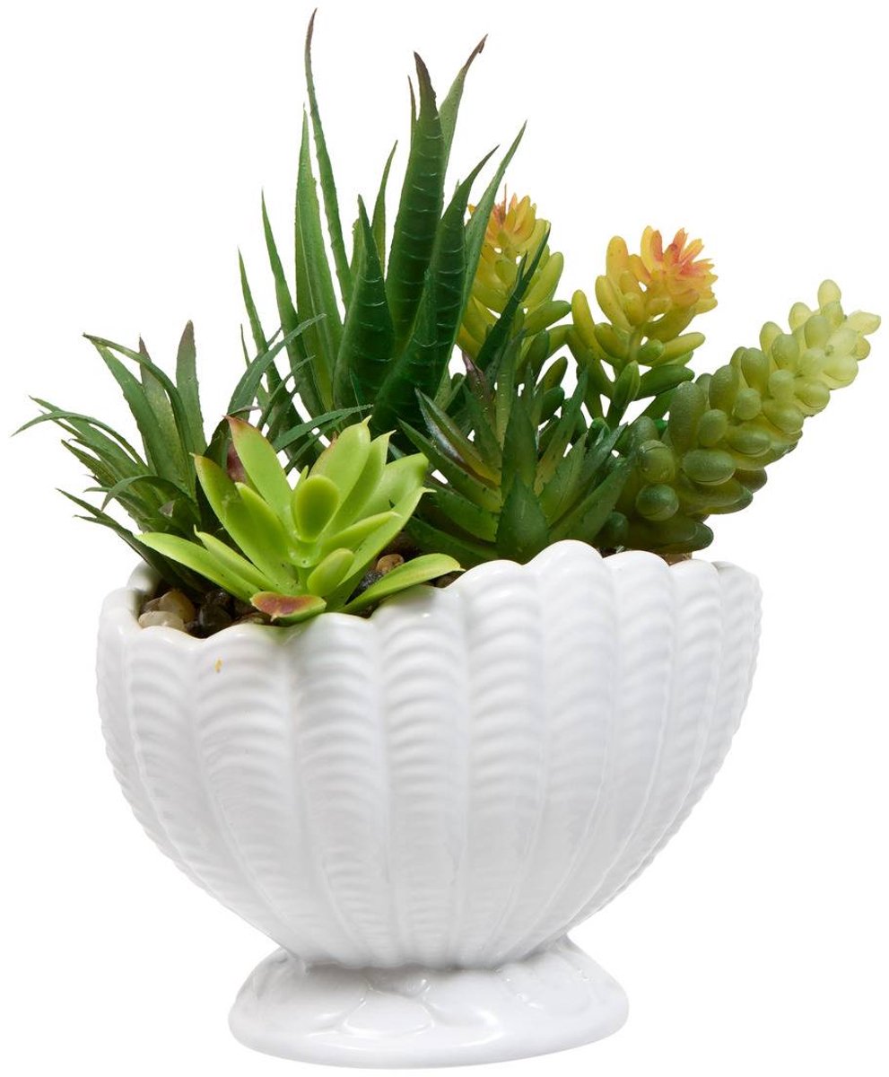 Kunstplant met schelpenpot OCEA