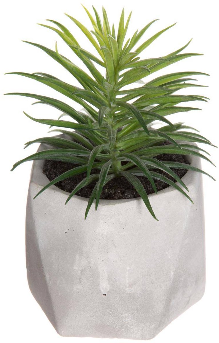 Kunstvetplant MASAO