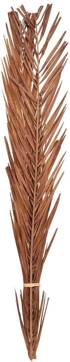 Natuurlijke gedroogde bloemen KANI