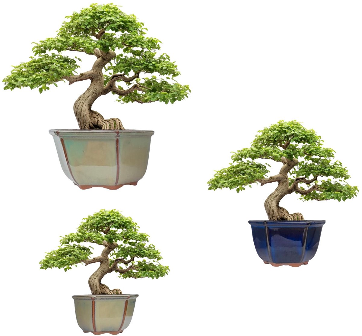 Omgoods - Set van 3 Keramische Bonsai Potten in Hexagonaal Design