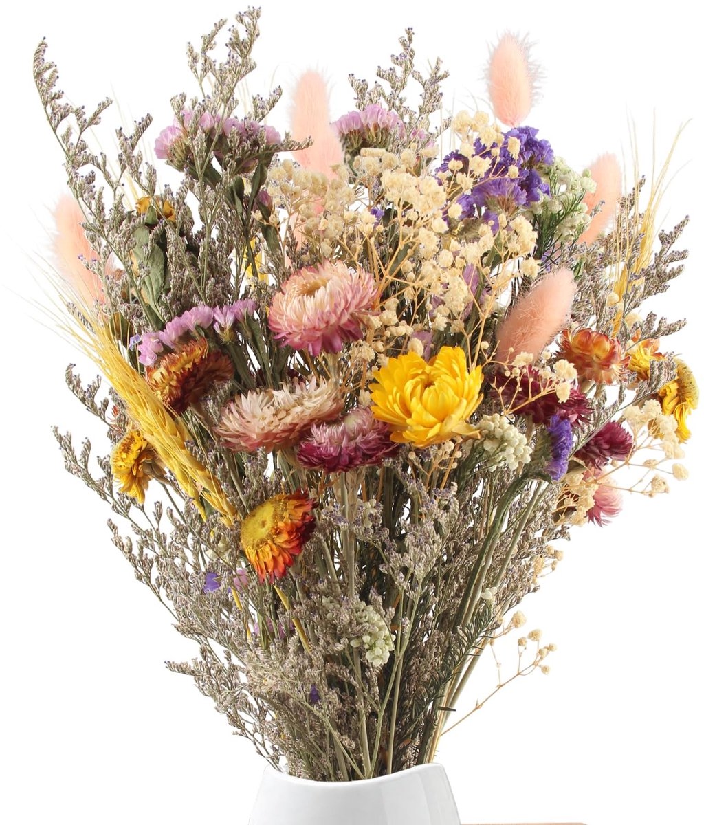 Omgoods - 40 Stuks Gedroogde Bloemen voor Decoratie en Knutselen