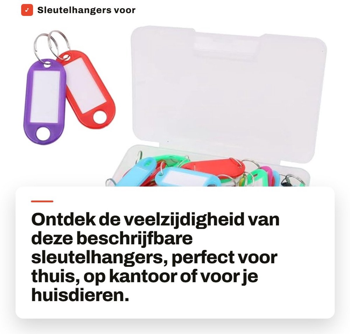 Dailygoods- Sleutelhangers 50 Stuks - Kunststof