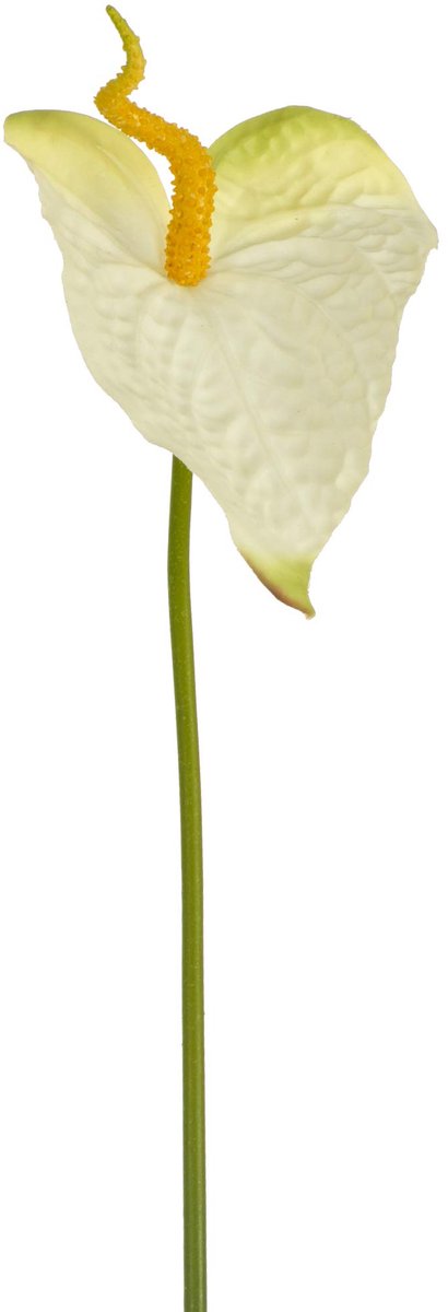 SnelShoppen - Kunstbloemen Anthuriums, 74 cm, Wit, 12 Stuks - Perfect voor Decoratie, Bruiloften, Feesten, Huiskamer, Tuin