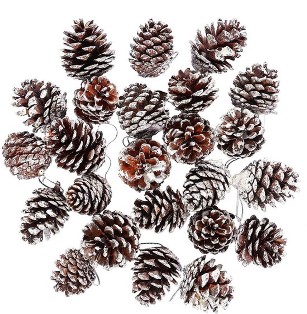 Dennenappels Natuurlijke Decoratie - 30 Stuks - Kerstboomversieringen - Feestdecoratie - Krans Maken - Milieuvriendelijk