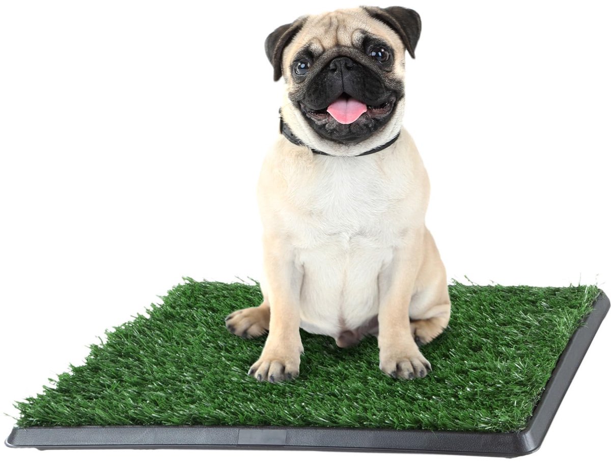 SnelShoppen - Kunstgras Badmat voor Puppy’s en Kleine Huisdieren - Draagbare Toilettrainer voor Binnen en Buiten - Antimicrobieel en Geurbestendig - P