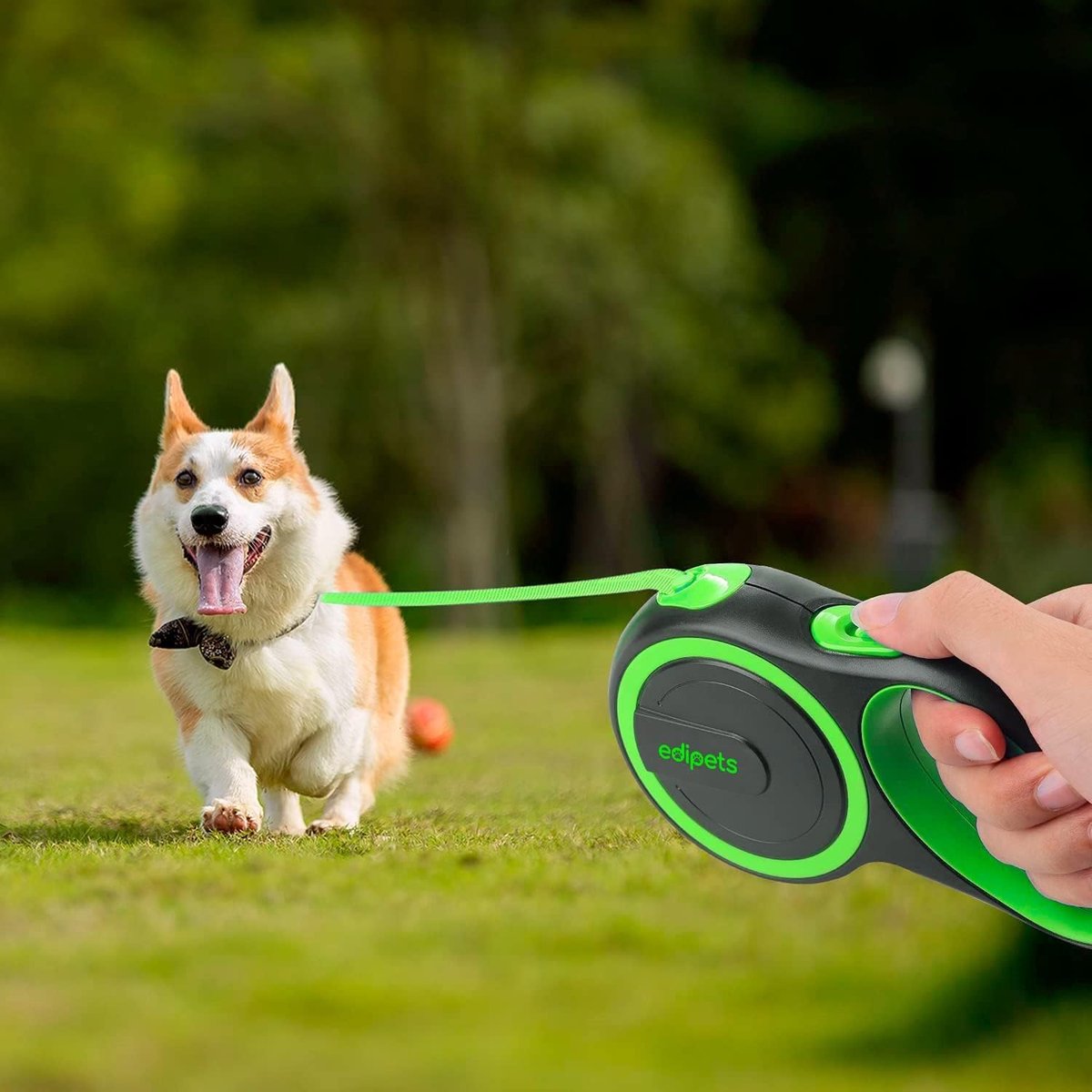 SnelShoppen - Verlengbare Hondenriem Intrekbaar 3, 5 en 8 Meter Flexibele Leiband Groen voor Training en Wandelen, Ideaal voor Buitenactiviteiten thumbnail 4