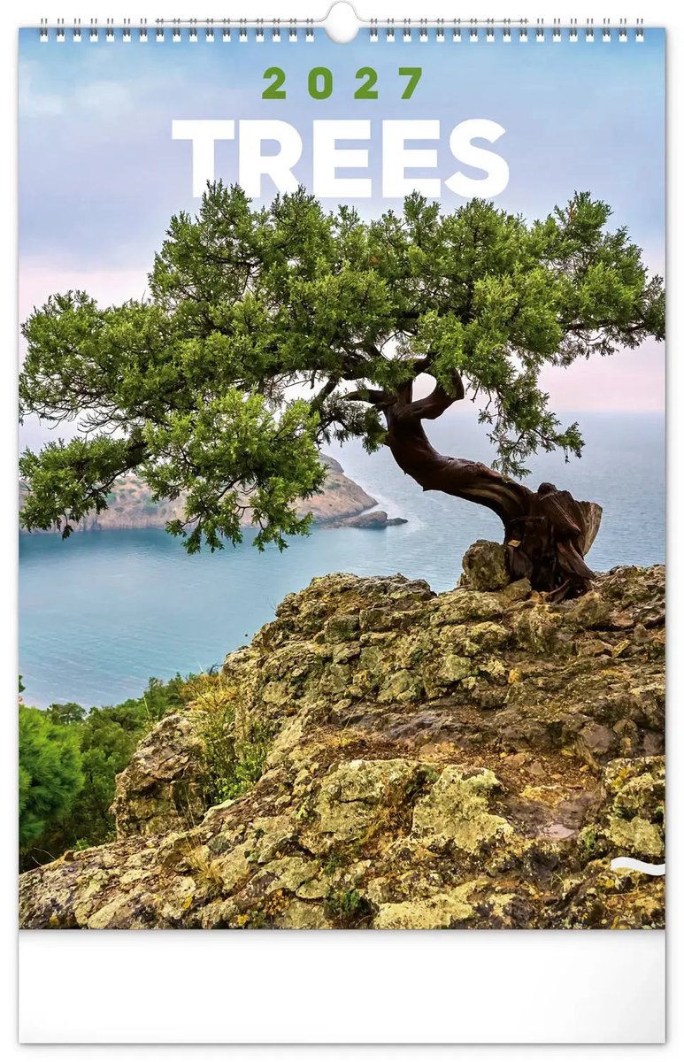 Bomen Kalender 2027 Groot