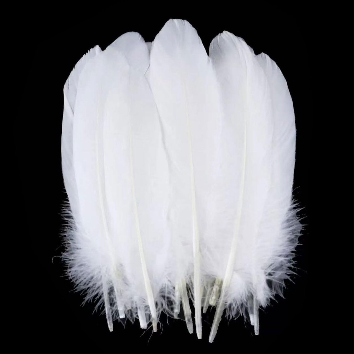 Veren, veren om te knutselen, natuurlijke ganzenveren, donzenveren, knutselveren voor dromenvangers, doe-het-zelf knutselen, bruiloft, feest, handwerk, sieraden, accessoires
