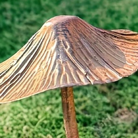 Tuinsteker in paddenstoelvorm, tuindecoratie, plugin, roest, grote paddenstoelen, tuindecoratie, grondpen voor bloembed, voor buiten, paddenstoeltuindecoratie (3 stuks) — afbeelding 3