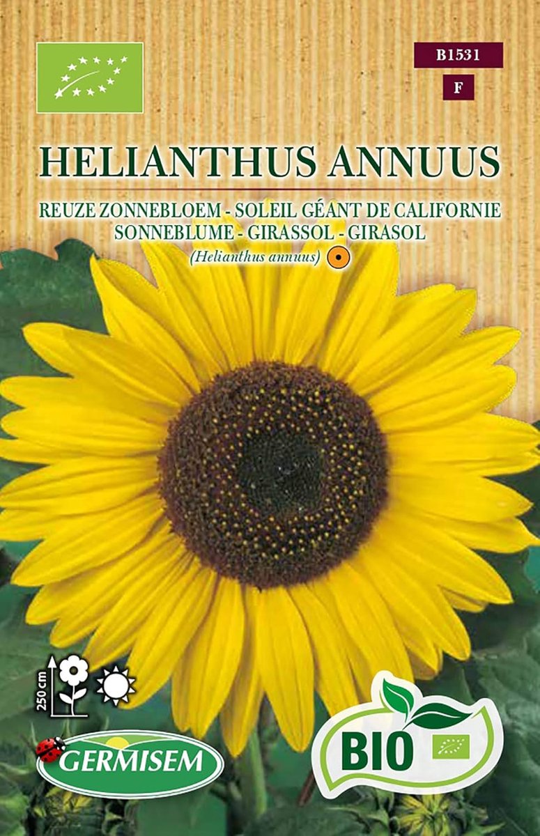SnelShoppen - Organic Helianthus Annuus Zonnebloemzaad 4 g - Grote Bloem, Eenvoudige Teelt, Geschikt voor Snijbloem, Rauwe en Gebakken Gerechten