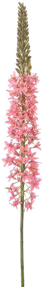 Clayre & Eef Kunstbloem Roze Kunststof
