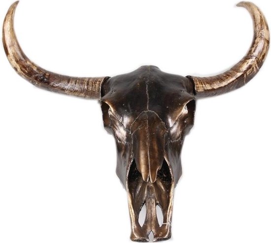 klem speer Hobart Dierenhoofd schedel wanddecoratie buffel/stier schedel 73 cm | bol.com