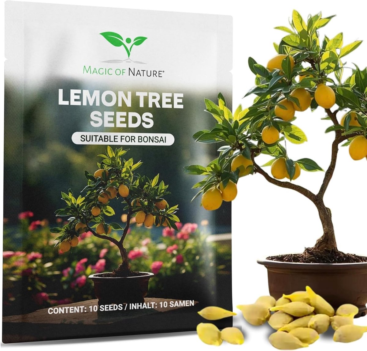 SnelShoppen - Mini Citroenboom Zaden (10 Stuks) - Perfect voor Bonsai | Mediterrane Sfeer voor Binnen | Perennial Plant voor Potten
