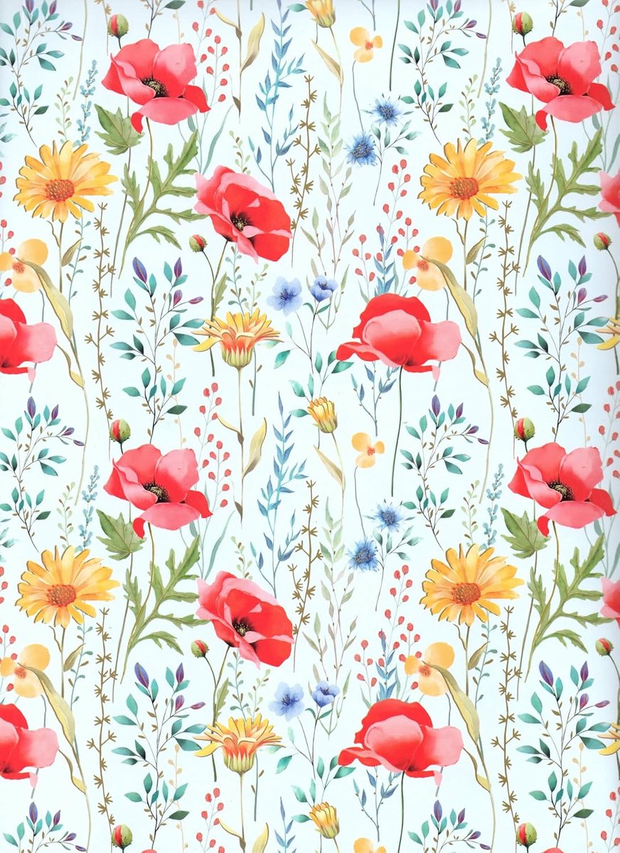 SnelShoppen - Cadeaupapier 3 vellen 90 x 65 cm - FSC-gecertificeerd - Plasticvrij - Elegant geschenkpapier voor feest, verjaardag, kerst en meer - Gem