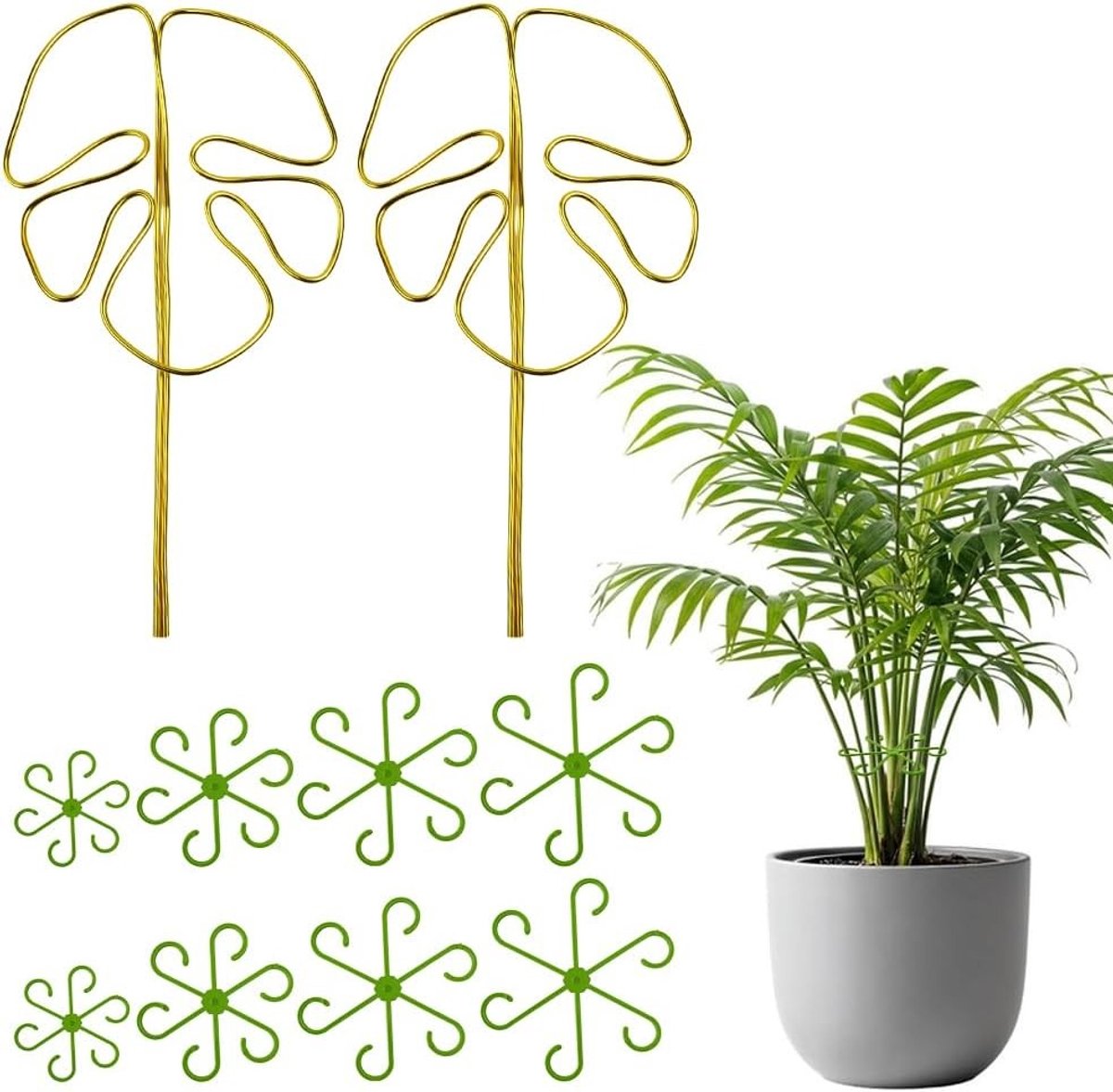 Set van 2 Plant Steunen voor Klimplanten met 8 Plant Houders, Herbruikbare Ondersteuning voor Monstera, Alocasia, en Rozen