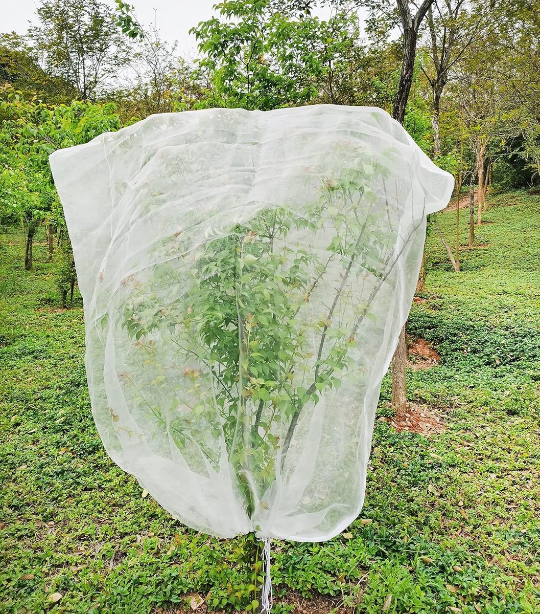 Plantbeschermingsnet voor Insecten 1.8m x 1.8m - Ademend, Duurzaam en Geschikt voor Fruitbomen en Tuinplanten